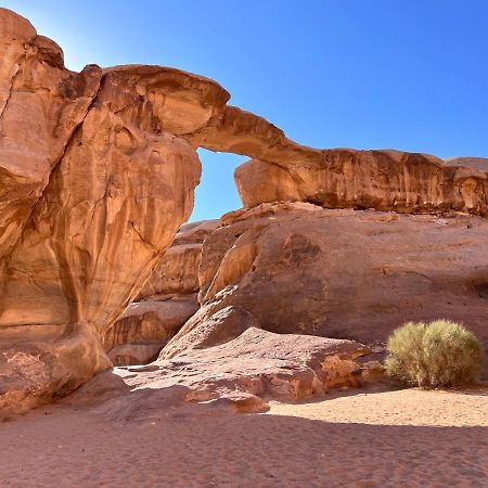 Wadi Rum Tents Exteriör bild