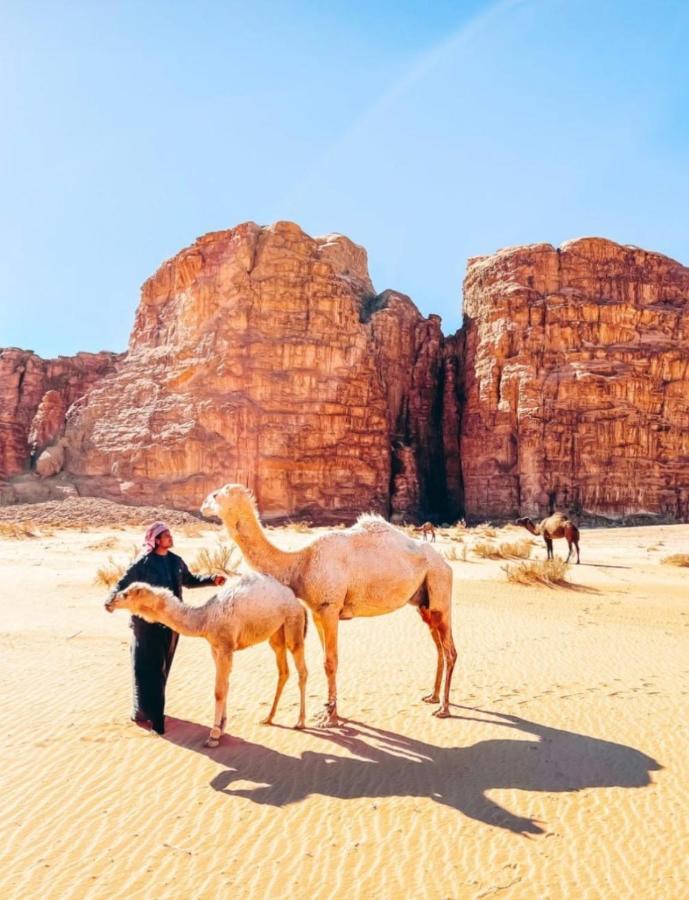 Wadi Rum Tents Exteriör bild